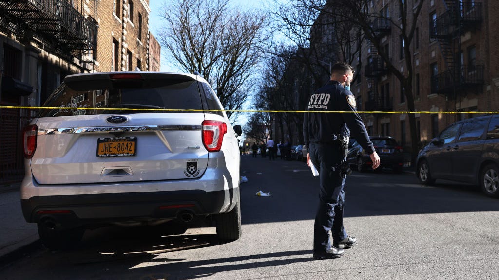 4 teens, 8 adults charged in murders of two Bronx boys, non-fatal shooting, carjackings