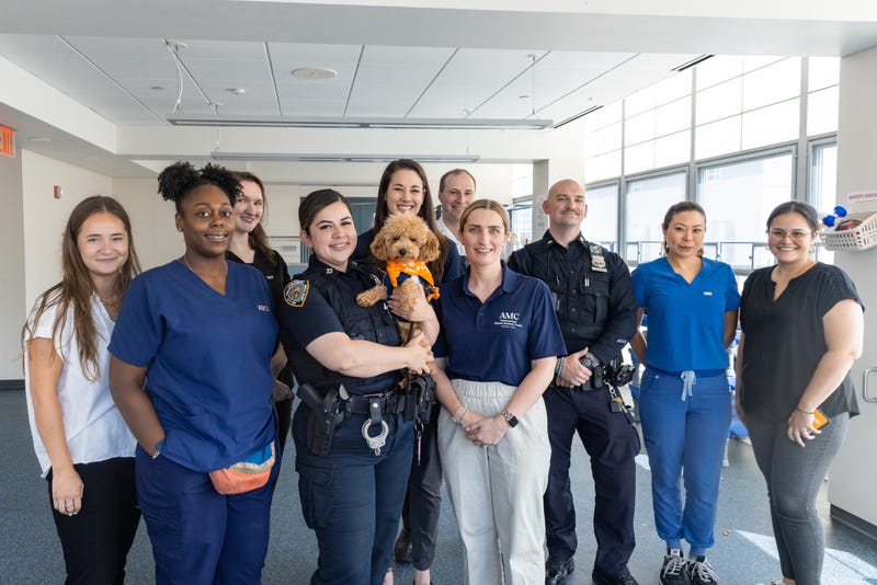 Rocket, a Miniature Poodle who was thrown from a ledge in Washington Heights in May and suffered severe injuries, reunited Wednesday with the team who saved him.
