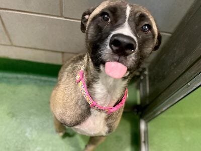 Nami #A1153257
