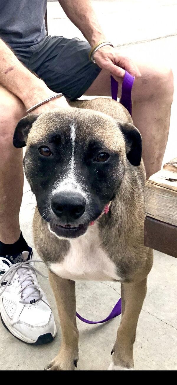 Nami #A1153257