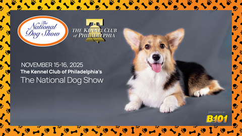 The 24th National Dog Show