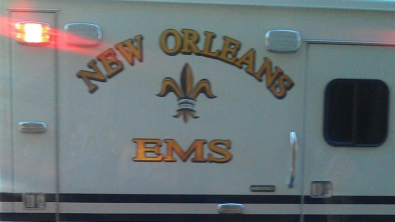 Elderly woman mauled to death in New Orleans East dog attack