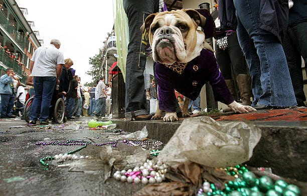 French Quarter Trash Pickup