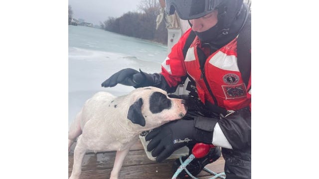 U.S. Coast Guard team hailed as heroes after pulling dog from icy Detroit River [PHOTOS]