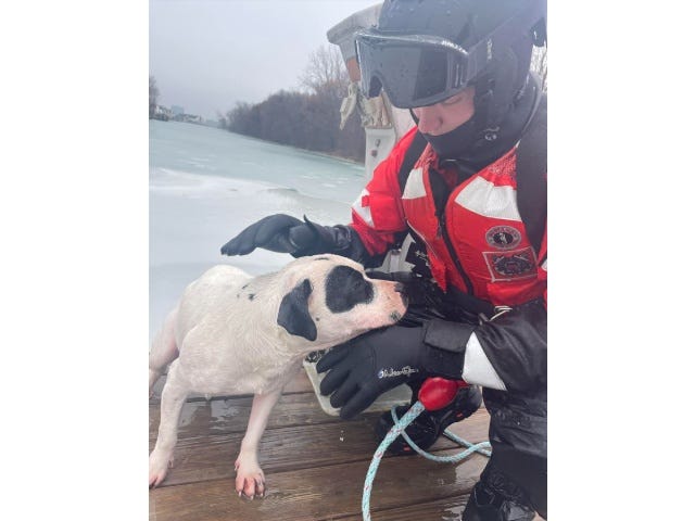 Petty Officer Cole Harper sits on a dock next to the dog he helped rescue from the icy Detroit River