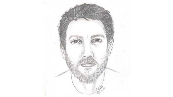 Composite sketch of alleged attempted kidnapper at MSU on Feb. 11