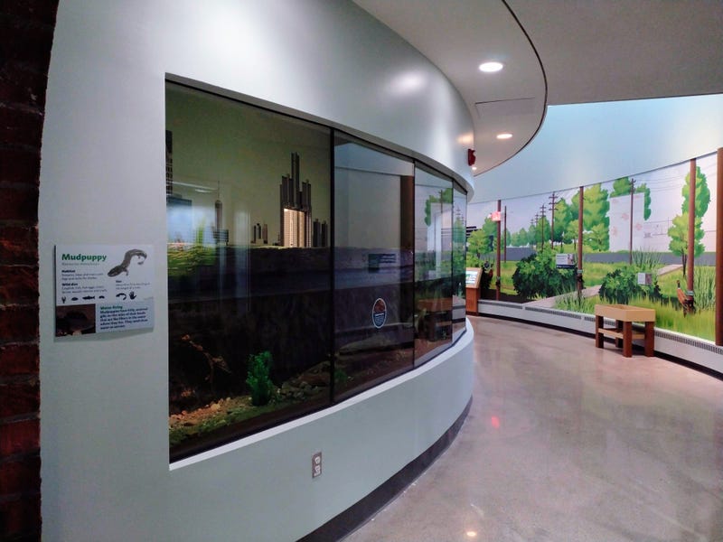 The Belle Isle Nature Center is set to open to the public after undergoing extensive renovations for the past two years, officials announced on Wednesday.