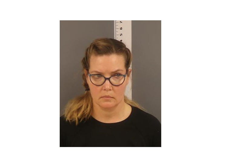 Nicole Mitchell, State Senator, Charges, Burglary
