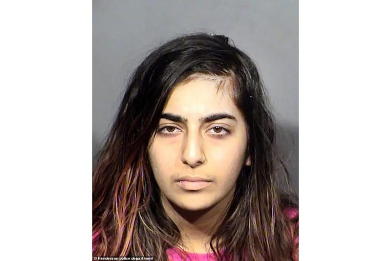 Booking photo of Nika Nikoubin