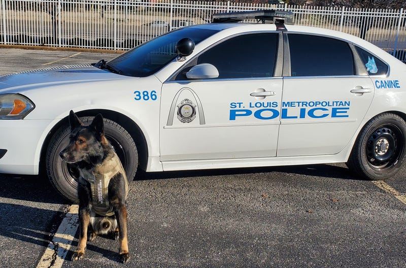 K-9