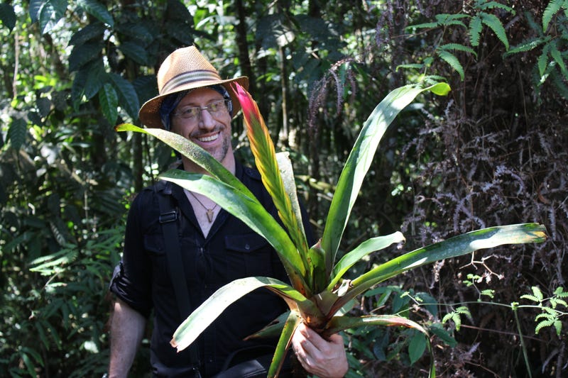 The first Latin American to become the Chief Science Officer and Dean at the International Plant Science Center, Mauricio Diazgranados.