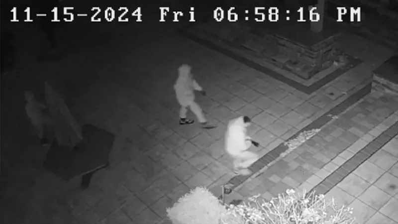 Suspects in recent Novi break-in