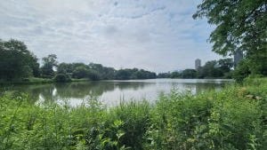 North Pond restoration project expected to start soon