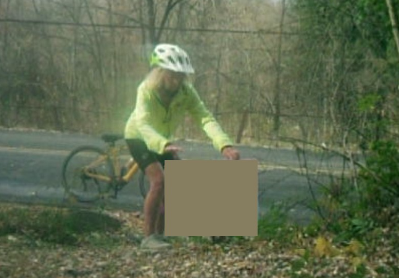 Person Police believe may have stolen political signs