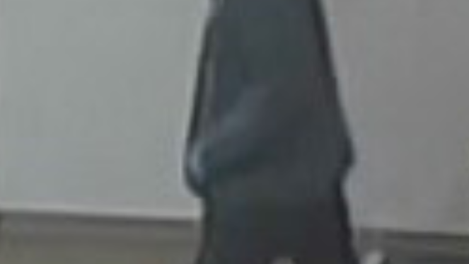 FBI searching for man who robbed Northbrook bank