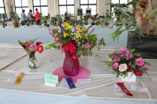 Displays from a past Ocean City Flower Show.