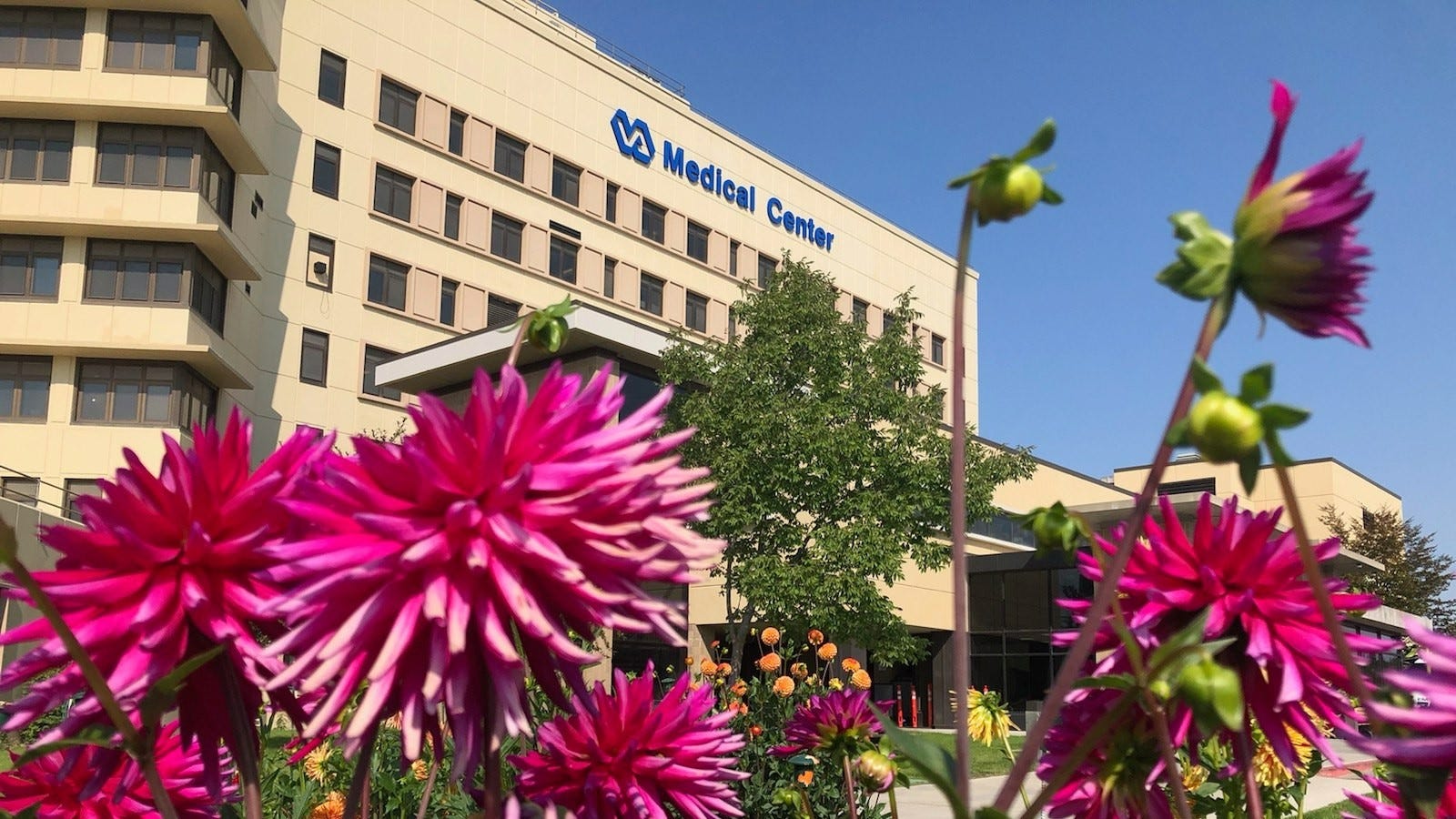VA's Electronic Health System rollout plagued by problems, IG says