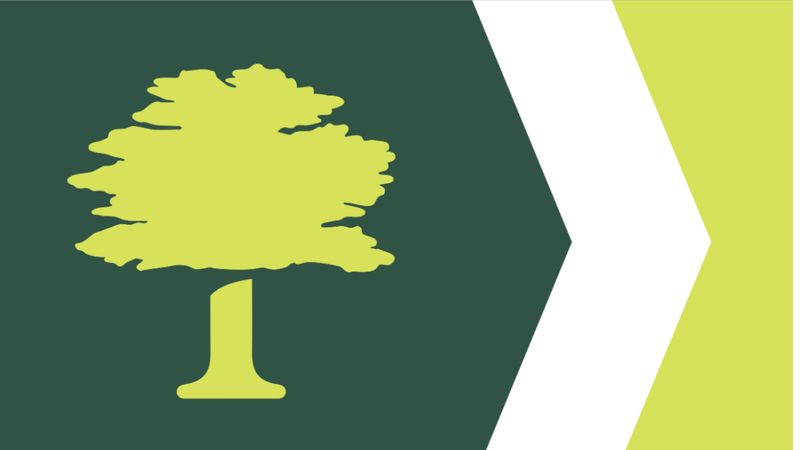 Overland Park Flag