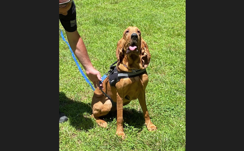 Pittsburgh Police K-9 Officer Oakley