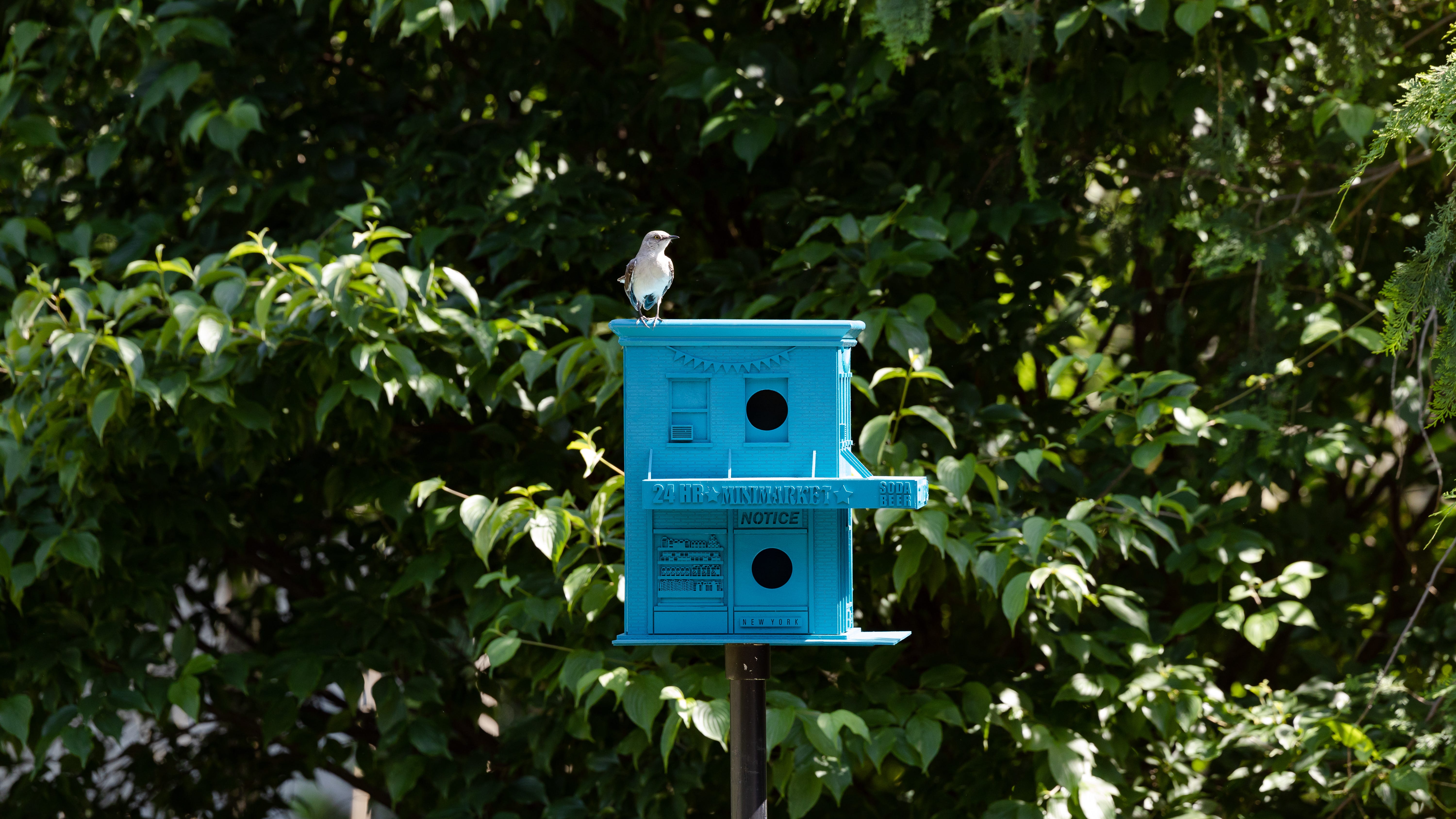 PICS: See 33 unique birdhouses at Brooklyn Botanic Garden's new 'For the Birds' exhibit