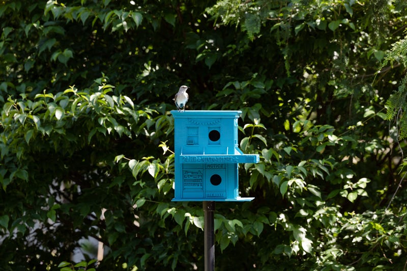 Olalekan Jeyifous 'Birdega' birdhouse