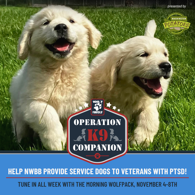 Northwest Battle Buddies