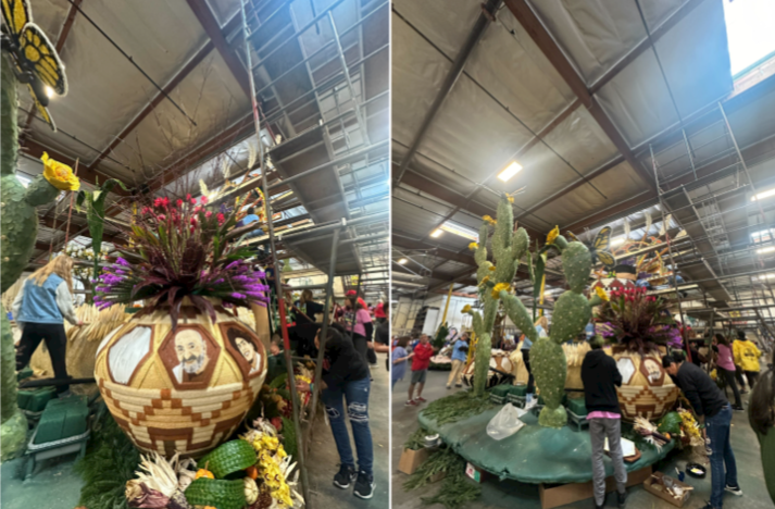 organ donor float