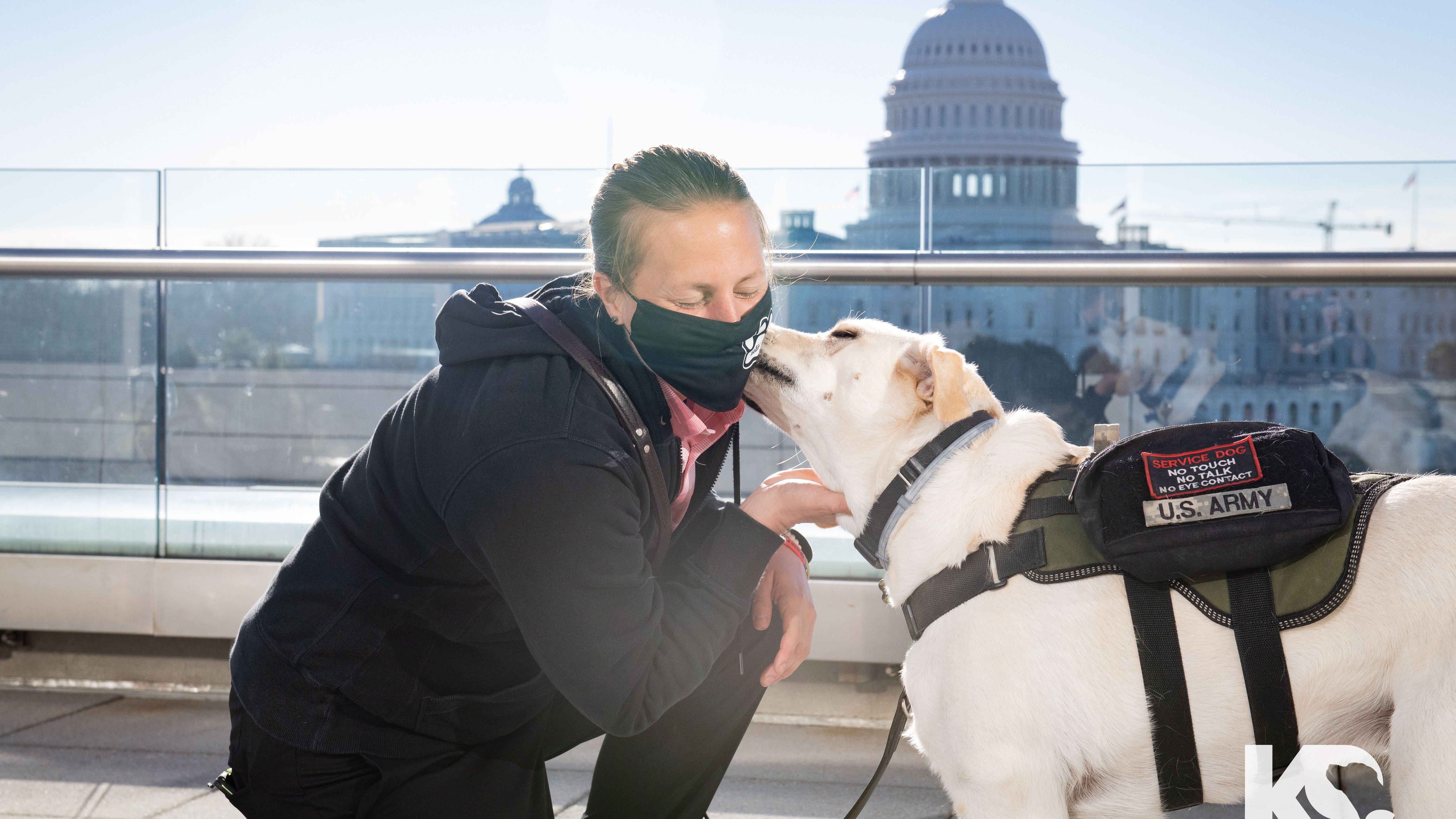 Bill to help veterans get service dogs gets tail-wagging support from lawmakers, K9s For Warriors