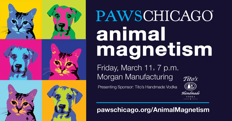 Join PAWS Chicago at the 15th Annual Animal Magnetism event on Friday, March 11 at 7 p.m. at Morgan Manufacturing