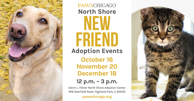 PAWS Chicago for the North Shore New Friend Adoption Event