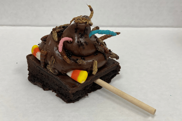 Bug brownie on a stick