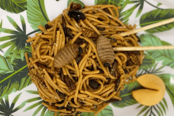 Bug chow mein