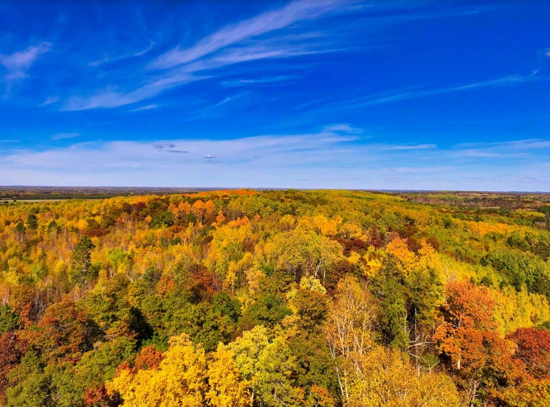Fall colors
