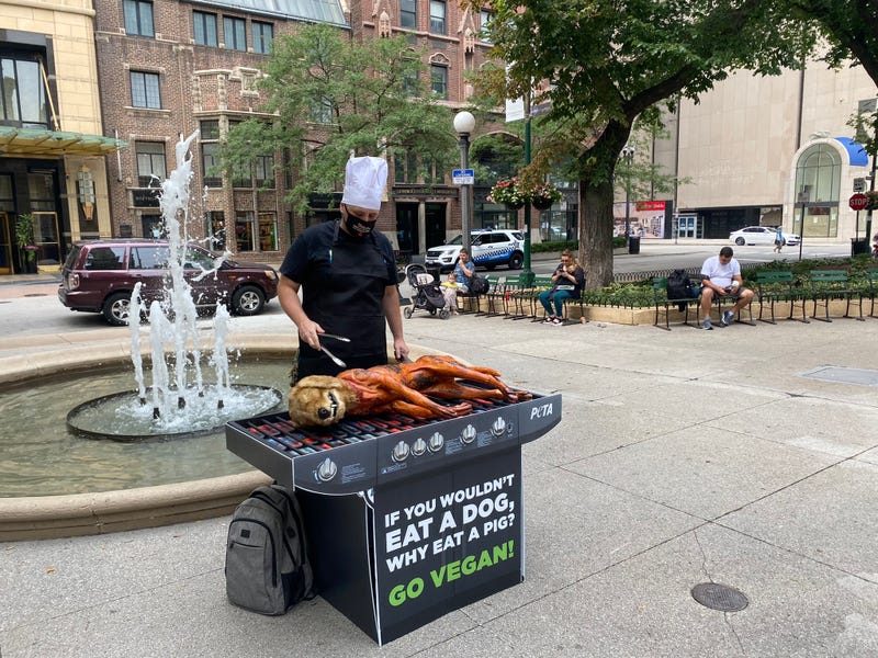 PETA protesters use fake dog on grill prop to deter people from eating meat