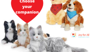 Vets with dementia in D.C. area can get free robotic pet