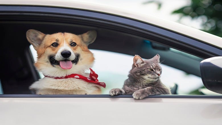 Pets