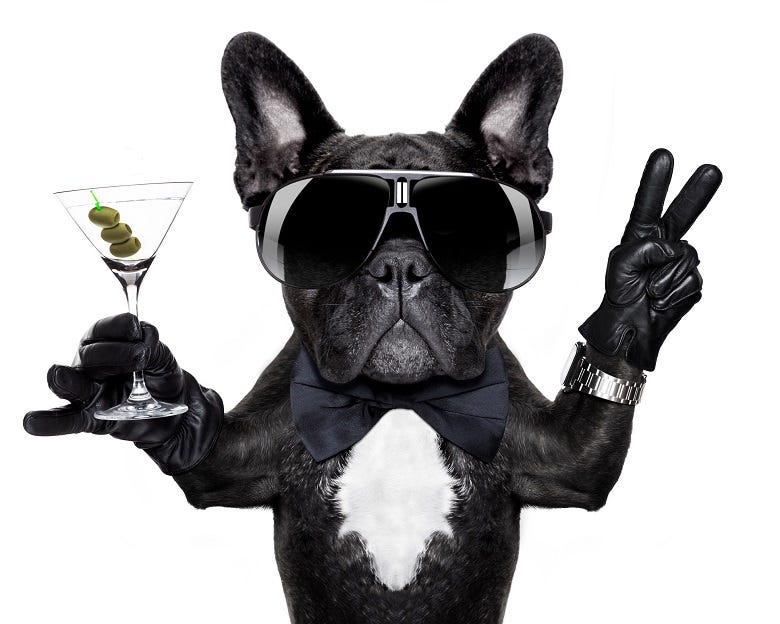 dog with martini and wearing sunglasses