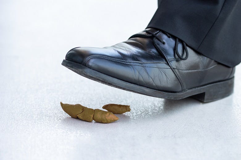 stepping in dog poop