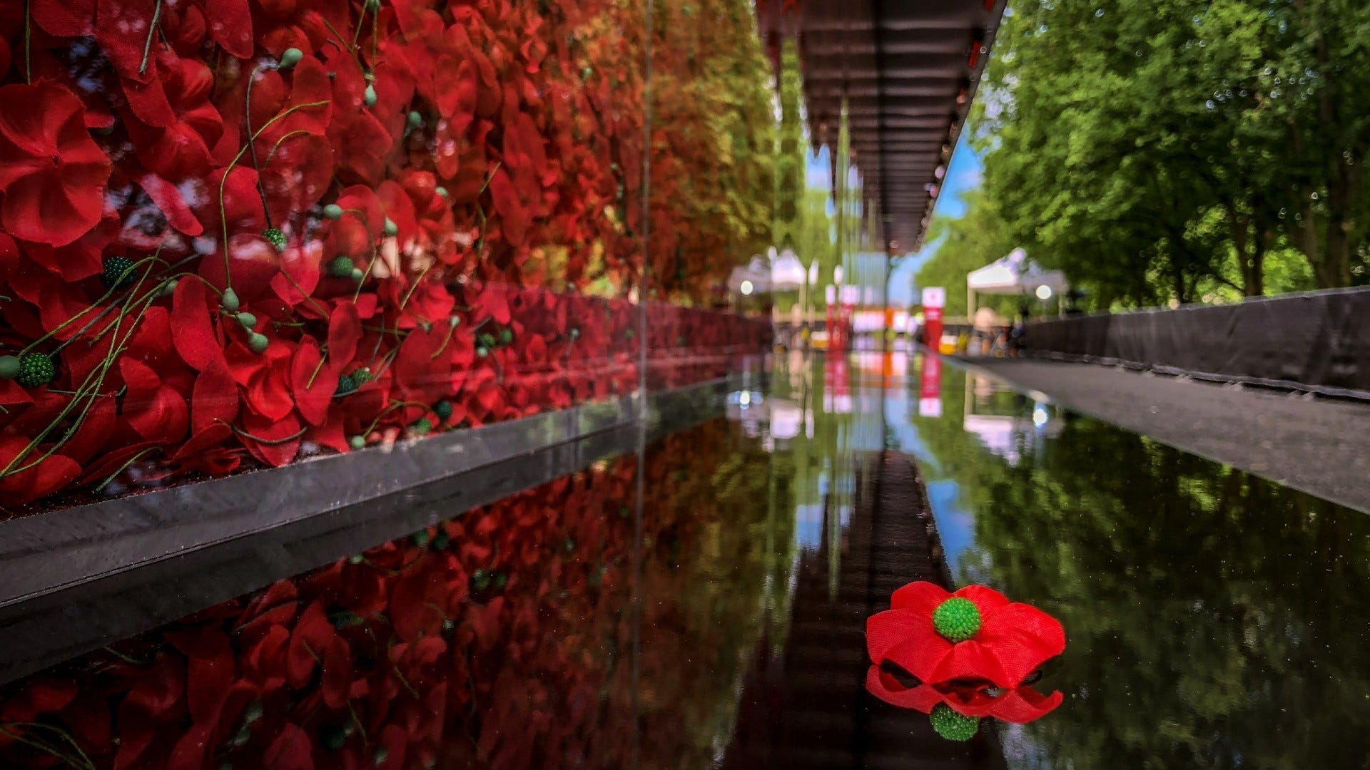 Poppy Wall of Honor back on National Wall for Memorial Day weekend
