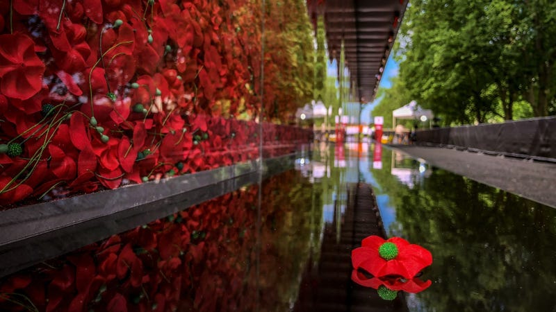 POPPYCOVER