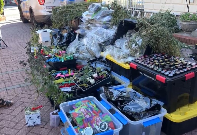 The New York City Sheriff’s Office seized about 90 plants and 100 pounds of pot from an illegal cannabis grow house operating across the street from a day care center in Brooklyn.