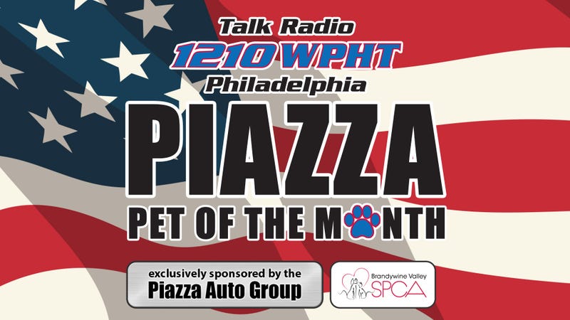 Piazza Pet of the Month