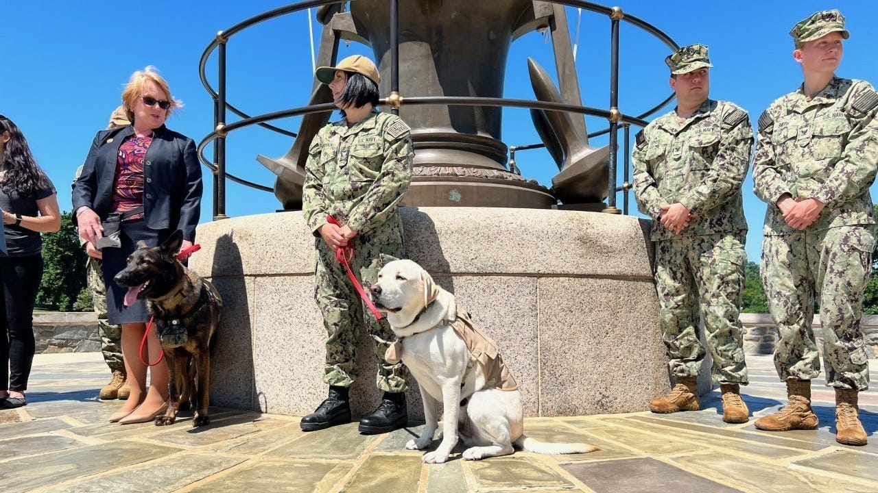 Sully gets a tail wagging promotion