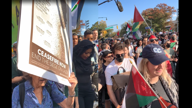 Protestors marched on Eastern Parkway in support of a ceasefire in Gaza Saturday.