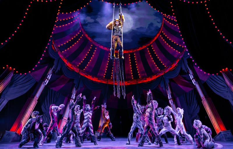 Donovan Hoffer plays Rum Tum Tugger on the flying trapeze in Paramount Theatre’s circus-inspired production of "Cats."