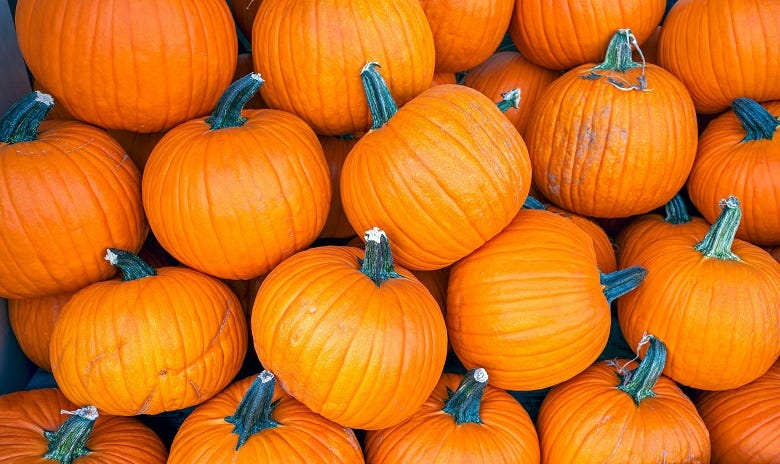 pumpkins 