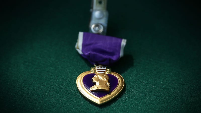 PURPLEHEARTCOVER
