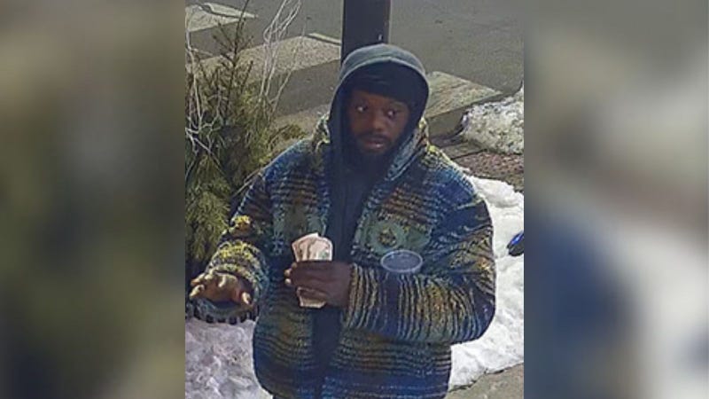 Suspected purse thief 