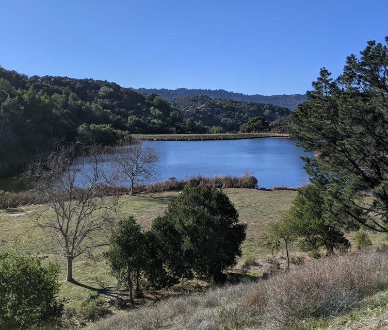 Palo Alto's Foothills Park, lush with trails, hillsides and a lake.