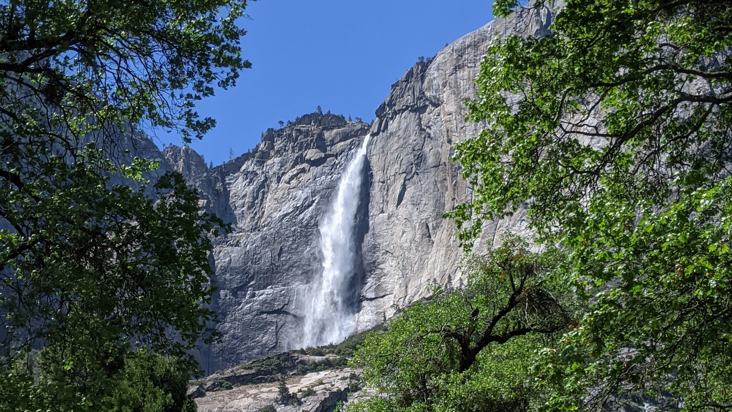Authorities seek public's help as iconic Yosemite Falls vandalized
